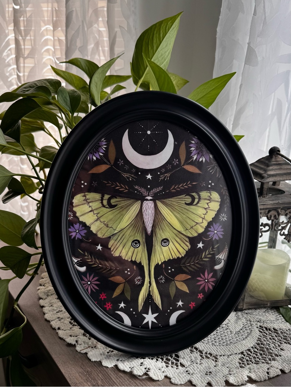 Black Framed printed canvas Luna Moth Wall Art 12” x 10”